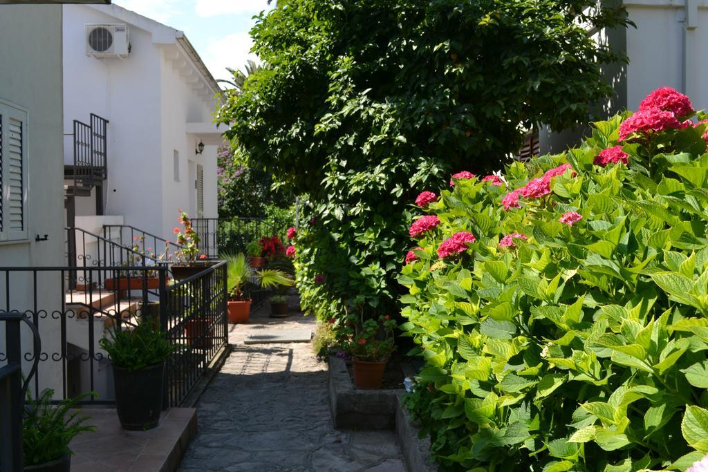 Apartments Luka Budva Exteriör bild